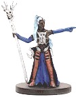 D&D Miniatures - Click to view the stats for Drow Wizard Miniature
