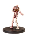D&D Miniatures - Click to view the stats for Mummy Miniature