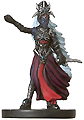 Drow Arachnomancer