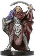 D&D Miniatures - Click to view the stats for Knight of the Chalice Miniature